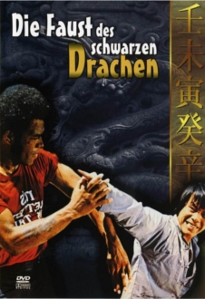 Die Faust des schwarzen Drachen *ab 18* DVD